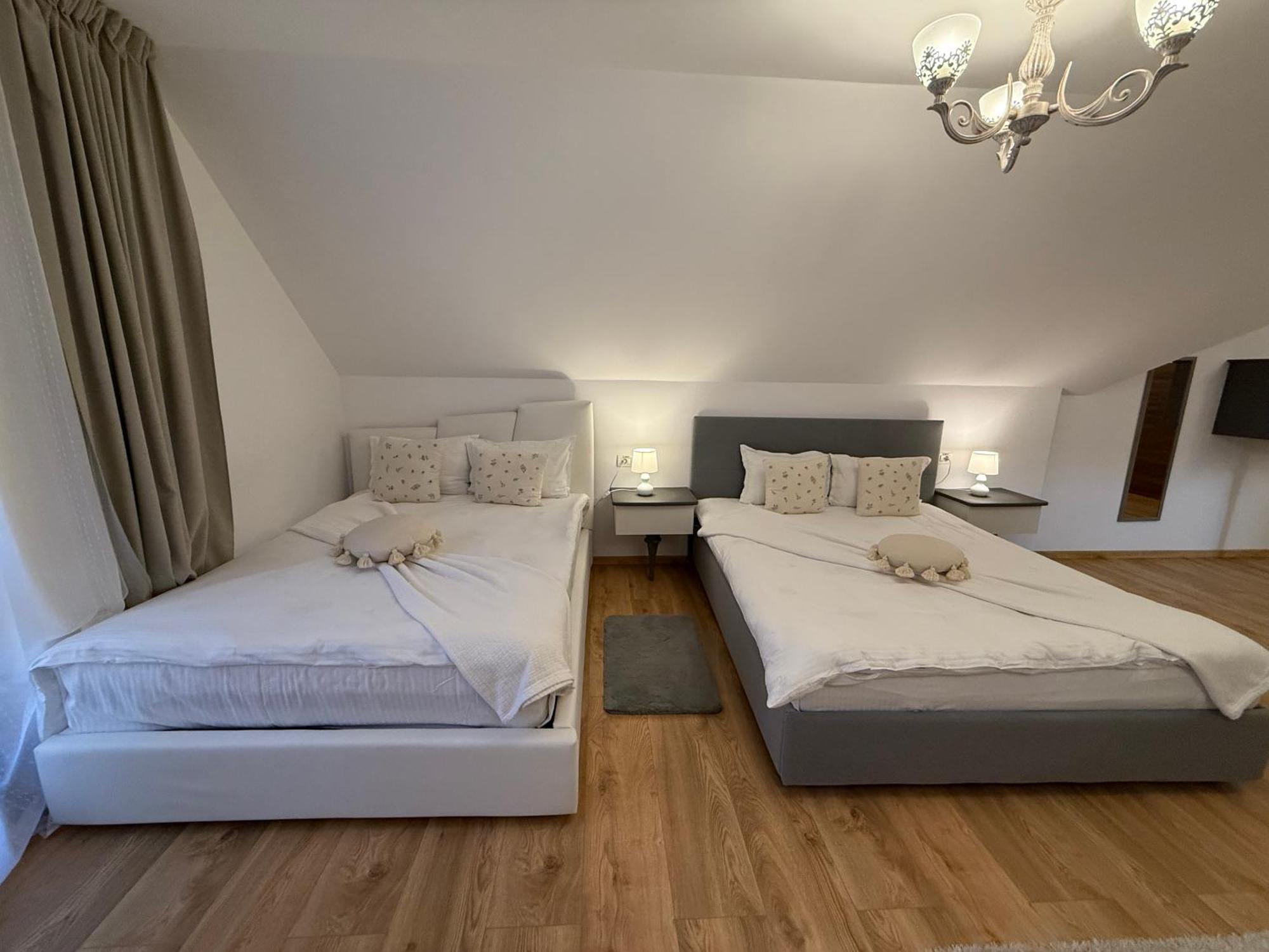 Conacul Radacinilor Hotel Petroşani Екстериор снимка